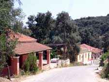 Olive Groves